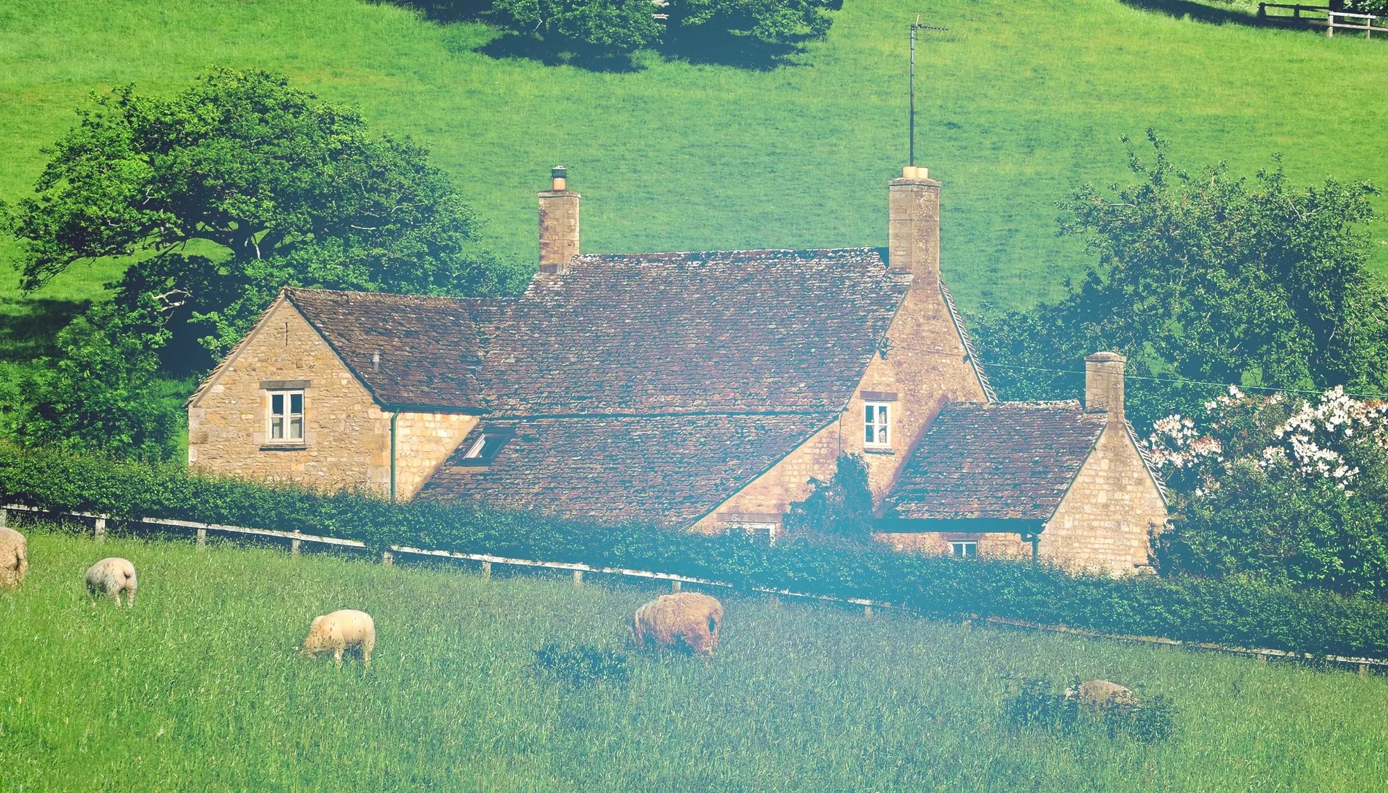 agriculture